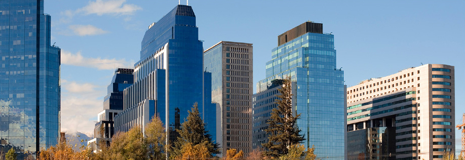 Ar&aacute;nguiz y c&iacute;a