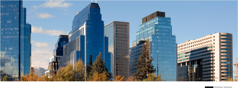 Ar&aacute;nguiz y c&iacute;a