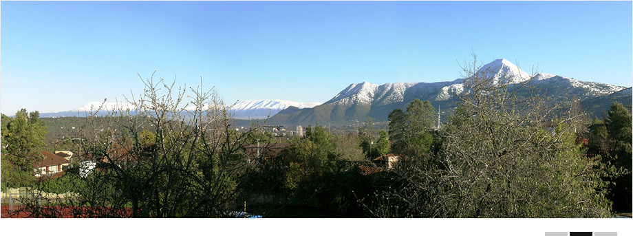 Ar&aacute;nguiz y c&iacute;a